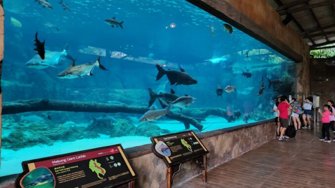 シンガポール旅行記 リバーワンダー 旧リバーサファリ 22年6月30日 Atトラベルカフェ